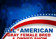 2017 All American – Gray Female Bred & Owned Show