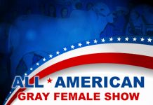 2017 All American – Gray Female Show
