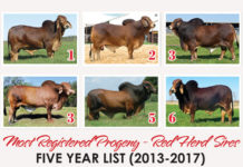 Most Registered Progeny – Red Herd Sires (2013-2017)