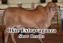 2017 Okie Extravaganza FI-Okie-Extravaganza