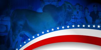 2017 All American – Red Bull Bred & Owned Show