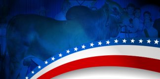 2017 All American – Red Bull Show