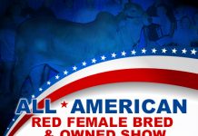2017 All American – Red Female Bred & Owned Show