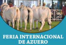 2018 Feria Internacional de Azuero FI-TBJ-2018-Azuero-Panama