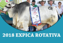 2018 Expica Rotativa FI-TBJ-2018-Expica-Rotativa