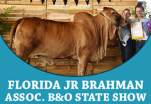 2018 Florida Jr Brahman Assoc. B&O State Show FI-TBJ-2018-FJBA-Junior-Results