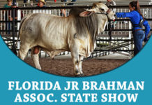 2018 Florida Jr Brahman Assoc. State Show FI-TBJ-2018-FJBA-Results