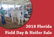 TBJ 2018 Florida Field Day & Heifer Sale FI-TBJ-2018-Florida-Field-Day-&-heifer-sale