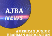 AJBA News FI-TBJ-AJBA-NEWS
