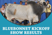 2018 Bluebonnet Kick Off Classic Show Reuslts FI-TBJ-bluebonnet-kick-off-classic
