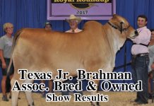 2017 TJBA Bred & Owned Show FI-Tx-Jr-Assoc-Bred&Owned