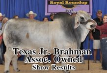 2017 TJBA Owned Show FI-Tx-Jr-Assoc-Owned