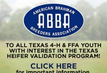 TEXAS HEIFER VALIDATION PROGRAM!
