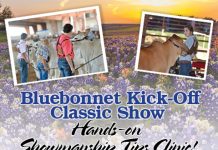 2017 Bluebonnet Kick-Off Classic Show & Hands-on Showmanship Tips Clinic! FI-bluebonnet-kick-off-clinic