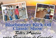 Taller Práctico para Expositores de Ganado