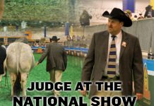 2017 ABBA National Brahman Show Judge Doug Pierce