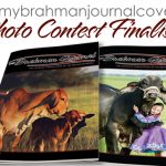 FI-facebook-Contest