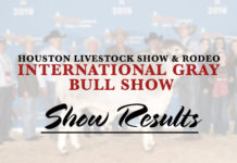 HLS&R – International Gray Bull Show