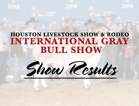 HLS&R – International Gray Bull Show – The Brahman Journal