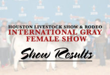 HLS&R – International Gray Female Show