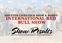 HLS&R – International Red Bull Show