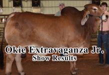 2017 Okie Extravaganza Jr. Show