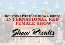 HLS&R – International Red Female Show