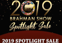 2019 ABBA Spotlight Sale Catalog FI-spotlightsale