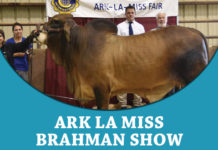 2018 Ark La Miss FI-tbj-ark-la-miss