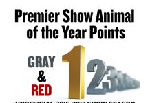 Premier Show Animal of the Year Points
