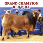 FI_2017-RGV-Results