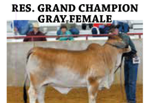 2016 Brazos Valley Fair & Expo FI_2016-Brazos-Valley