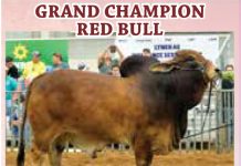 2016 Heart ‘O Texas Fair FI_2016-Heart-of-Texas-Results