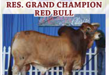 2016 Bluebonnet Kick-off Classic FI_2016-Kick-Off-Open-Show-Results