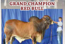 2016 Whashington County Fair