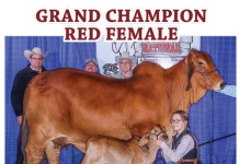 2017 Dixie Nationals FI_2017-Dixie-Nationals