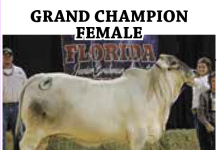 2016 FJBA State Show FI_FJBA-Results-Page