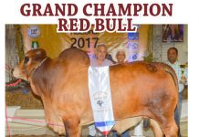 2017 Feria Agropecuaria Nacional FI_Feria-Agropecuaria-Nacional2017