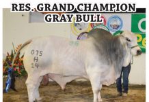 2017 Feria de David FI_Feria-David-2017-results