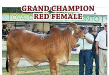 2017 Feria de Veraguas en Soná FI_Feria-Sona-2017-results