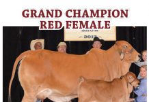 2017 Miami-Dade County Fair & Expo FI_Miami-Dade-results