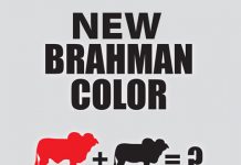 2017 ABBA New Color Rules