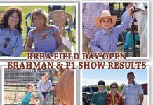 RRBA Field Day Open Brahman & F1 Show Results