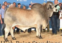 ABBA High Point Standings – 2016 – 2017 Show Animals FI_Show-Bull-Show-Cow