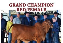 2017 South Texas State Fair FI_South-Texas-State-Fair-results