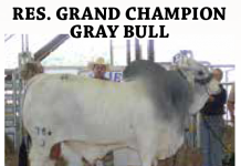 2016 Okie Extravaganza Open Show FI_okie-open-results