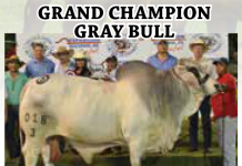 2016 Exposición Nacional de Cebu Panama FI_panama-60