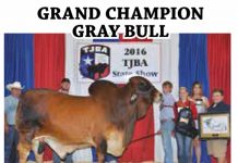 2016 Texas Junior Brahman Assoc. Bred & Owned Show FI_tjba-owned-results-2
