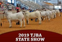 2019 TJBA State Show