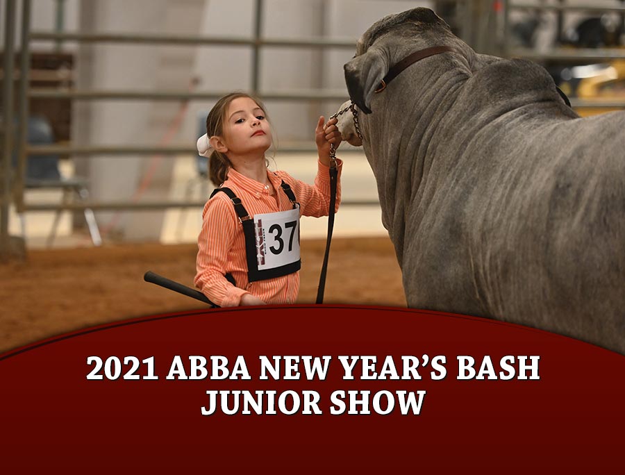 2021 ABBA New Year's Bash Junior Show - The Brahman Journal